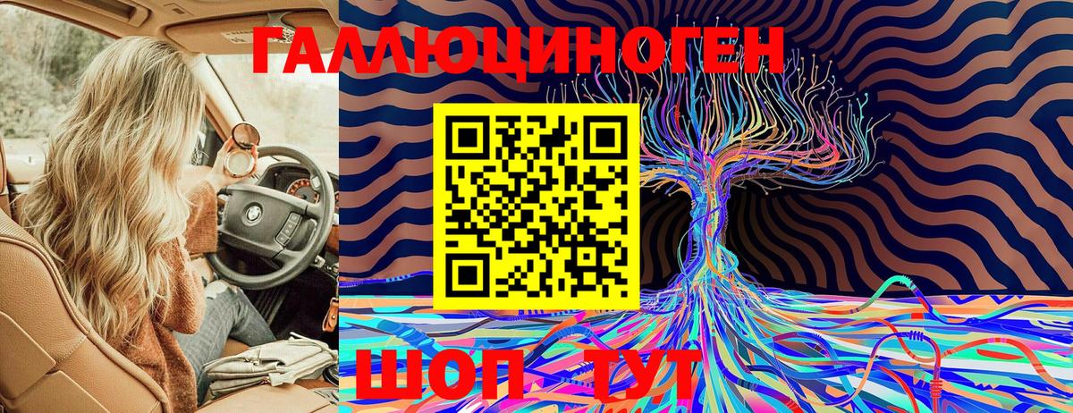 Псилоцибиновые грибы Psilocybe  Вход с VPN  Псилоцибиновые грибы мицелий  Нововоронеж 